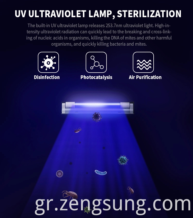 UV Lamp